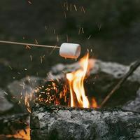 person som bränner marshmallows lägereld.