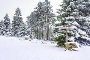 vinter skoglandskap i brocken berget, harz, Tyskland