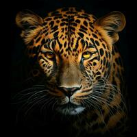leopard bakgrund hd foto