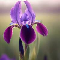 en närbild se på de skäggig iris ställer ut dess fascinerande mikrostrukturer ,ai genererad foto