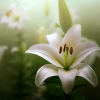 en närbild av de madonna lilja avslöjar dess ren och ren kronblad ,ai genererad foto