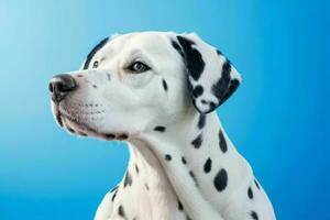 Foto av dalmatian hund. ai generativ proffs Foto