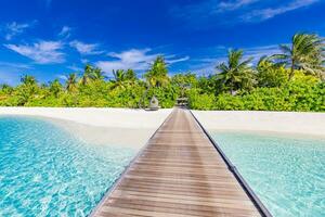 tropisk natur bakgrund i maldiverna öar. exotisk blommig landskap, lång pir över fantastisk blå hav vatten och vit sand. lyx sommar resa landskap, lugn natur landskap foto
