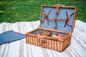 picknick korg med frukter på gräs bakgrunden foto