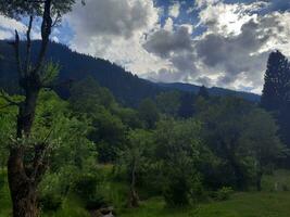 naturskön se av de naturlig skönhet av tao stånga, nål dal, kashmir. tao stånga är känd för dess frodig grön träd och naturlig skönhet. foto