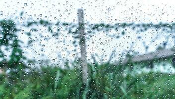 regn droppar på yta av bil glas med suddig grön natur bakgrund och blommor genom fönster glas av de bil täckt förbi regndroppar. friskhet efter regn. våt vindruta skott från inuti bil. foto