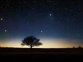 en ensam träd är silhouetted mot de natt himmel foto