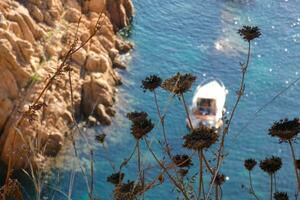 costa brava och kust väg längs de oländig kustlinje av nordlig Katalonien, Spanien foto