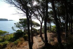 costa brava och kust väg längs de oländig kustlinje av nordlig Katalonien, Spanien foto