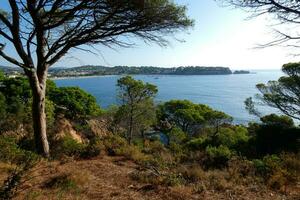 costa brava och kust väg längs de oländig kustlinje av nordlig Katalonien, Spanien foto