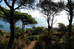 costa brava och kust väg längs de oländig kustlinje av nordlig Katalonien, Spanien foto