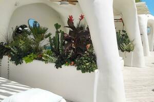 tillflykt bungalow i vit med blommor och växter foto