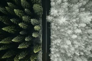 antenn se av en motorväg lindning genom en skog i både sommar och vinter- säsonger. generativ ai foto