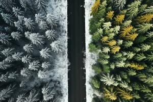 antenn se av en motorväg lindning genom en skog i både sommar och vinter- säsonger. generativ ai foto