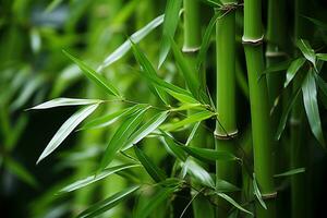 grön bambu natur bakgrund. ai genererad foto