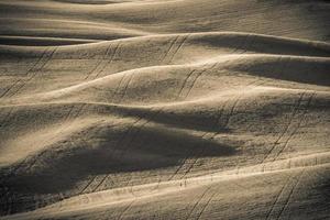 magiska vete gård fält i palouse washington foto