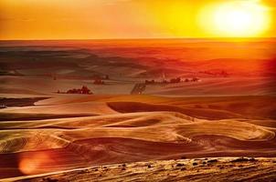 magiska vete gård fält i palouse washington foto