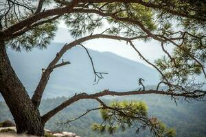 se på de hav från topp av en montain i Rhodos, grekland foto