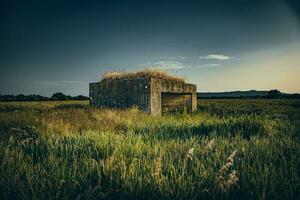 gammal, överge strukturera, bunkra i en lantlig fält, öst sussex, Storbritannien foto