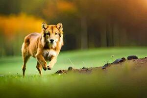en hund löpning i de fält. ai-genererad foto