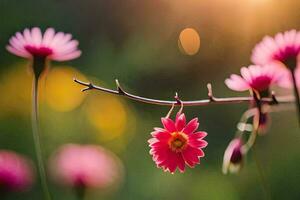 rosa blommor är på en gren i de Sol. ai-genererad foto