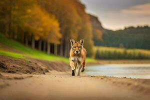 en hund gående längs de Strand av en sjö. ai-genererad foto