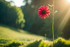 en röd blomma står ut i de Sol. ai-genererad foto