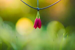 en röd blomma hängande från en sträng. ai-genererad foto