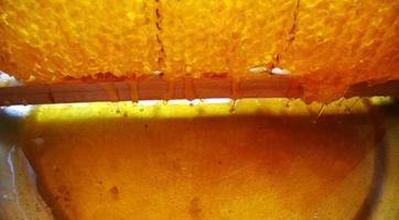 bakgrundsstruktur, släppa droppar söt honung foto