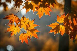 höst löv är visad i de solljus. ai-genererad foto