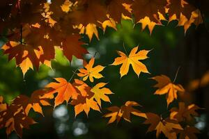 höst löv är visad i de solljus. ai-genererad foto
