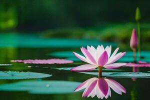 en rosa lotus blomma är flytande i de vatten. ai-genererad foto