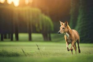 en hund löpning genom en fält på solnedgång. ai-genererad foto