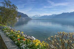 växter och blommor Nästa till Genève leman sjö på montreux, schweiz foto