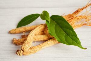 ginseng rötter och grön blad, organisk natur friska mat. foto