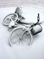 cykel förbi vinter, Genève, schweiz foto