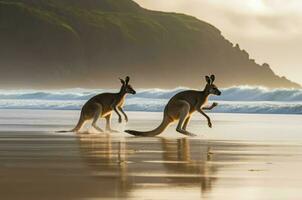 australier kängurur strand. generera ai foto