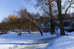 den största parken i prag stromovka under den snöiga vintern foto