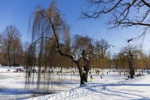 den största parken i prag stromovka under den snöiga vintern foto