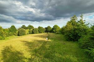 mest skön brittiskt landsbygden landskap på slipsko klappare dal av England luton, Storbritannien. bild var fångad på juni 24:e, 2023 foto