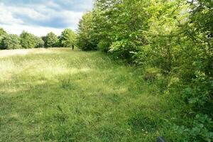 mest skön brittiskt landsbygden landskap på slipsko klappare dal av England luton, Storbritannien. bild var fångad på juni 24:e, 2023 foto