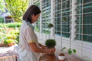 senior asiatisk kvinna som växer liten växt i kruka för att dekorera hus foto