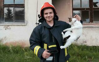 närbild porträtt av heroisk- brandman i skyddande kostym och röd hjälm innehar sparade katt i hans vapen. brandman i brand stridande drift. foto