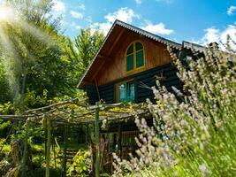 trä- stuga hus traditionell naturlig i de skog med trädgård foto