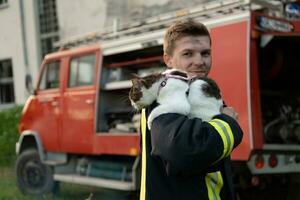 närbild porträtt av heroisk- brandman i skyddande kostym och röd hjälm innehar sparade katt i hans vapen. brandman i brand stridande drift. foto