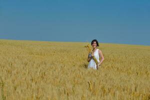 ung kvinna i vetefält på sommaren foto
