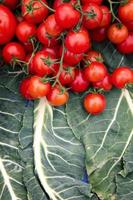 hälsosam saftig och färsk tomatgrönsak foto