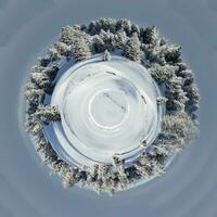 planet av gran träd i vinter, schweiz foto