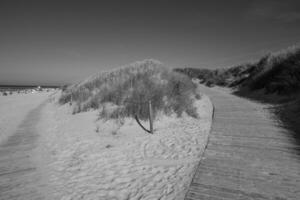 sommar tid på langeoog ö foto