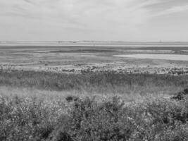 langeoog ön i Nordsjön foto